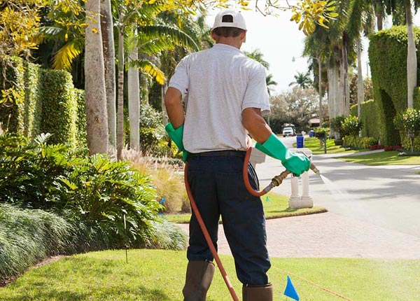 About Elgin IL Pest Control Pros